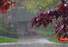 Bihar Weather: पटना, भागलपुर समेत 10 जिलों में झमाझम बारिश, 19 जिलों में आकाशीय बिजली का अलर्ट, जानिए अपने जिले का हाल Bihar Weather