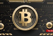 Crypto Price Today: क्रिप्टो मार्केट में कमजोरी, बिटकॉइन में आई गिरावट; टॉनकॉइन, XRP 3% तक लुढ़के Crypto Price Today