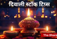 Diwali Stocks Tips: दिवाली में ये स्टॉक्स कर देंगे आपको मालामाल, जानिए क्या कहते है एक्सपर्ट्स Diwali Stocks Tips